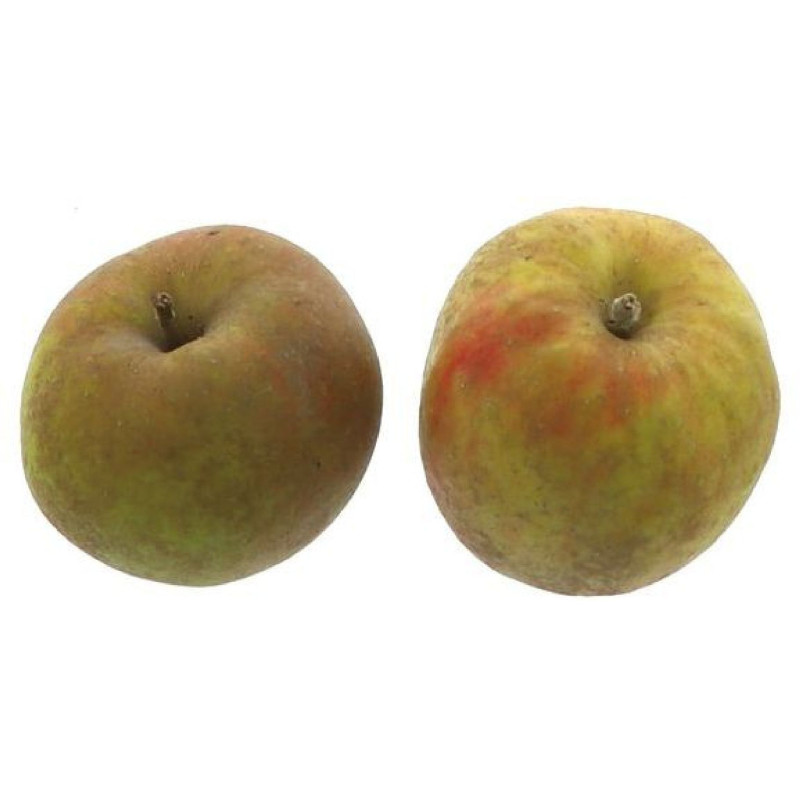 POMME BOSKOOP GROSBUSCH 85/90MM 7KG